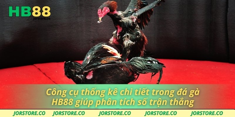 Công cụ thống kê chi tiết trong đá gà HB88 giúp phân tích số trận thắng