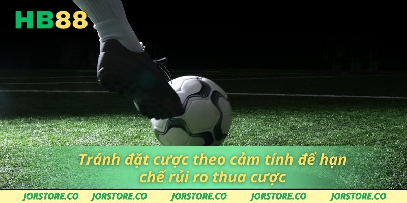 Tránh đặt cược theo cảm tính để hạn chế rủi ro thua cược